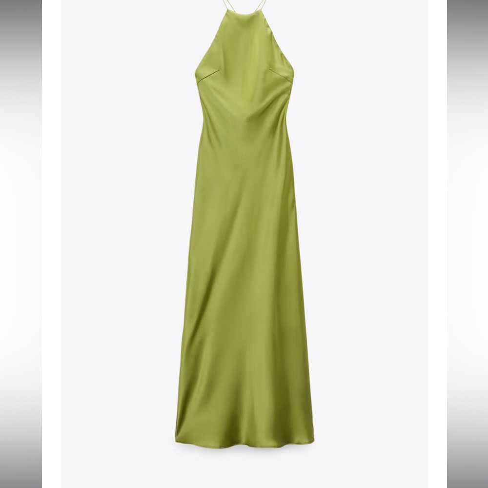 Zara dress